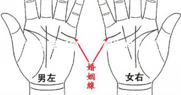 手相图解断掌,断掌有什么说法